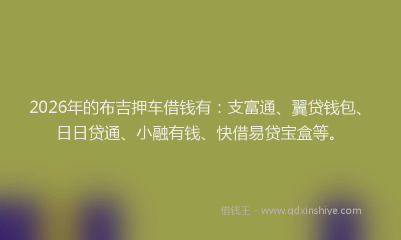 2026年的布吉押车借钱有：支富通、翼贷钱包、日日贷通、小融有钱、快借易贷宝盒等。
