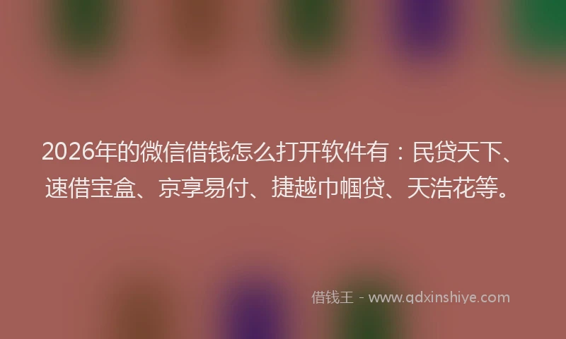 2026年的微信借钱怎么打开软件有：民贷天下、速借宝盒、京享易付、捷越巾帼贷、天浩花等。