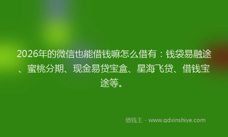 2026年的微信也能借钱嘛怎么借有：钱袋易融途、蜜桃分期、现金易贷宝盒、星海飞贷、借钱宝途等。