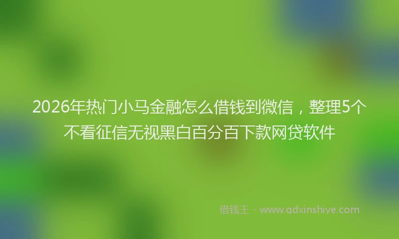 2026年热门小马金融怎么借钱到微信，整理5个不看征信无视黑白百分百下款网贷软件