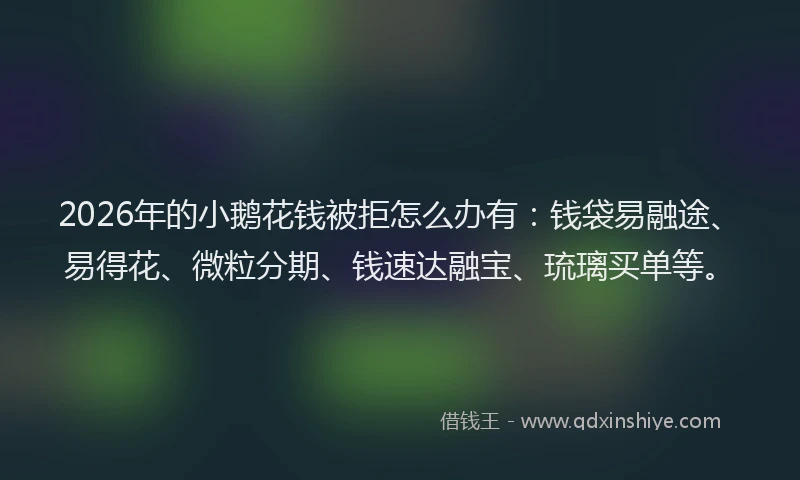 2026年的小鹅花钱被拒怎么办有：钱袋易融途、易得花、微粒分期、钱速达融宝、琉璃买单等。