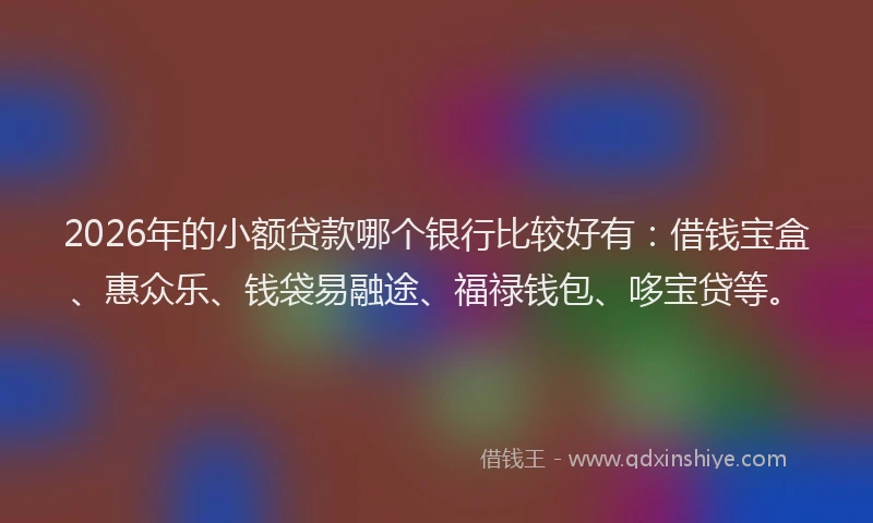 2026年的小额贷款哪个银行比较好有：借钱宝盒、惠众乐、钱袋易融途、福禄钱包、哆宝贷等。