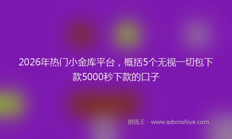 2026年热门小金库平台，概括5个无视一切包下款5000秒下款的口子