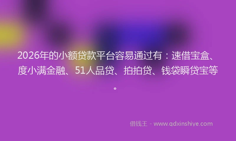 2026年的小额贷款平台容易通过有：速借宝盒、度小满金融、51人品贷、拍拍贷、钱袋瞬贷宝等。