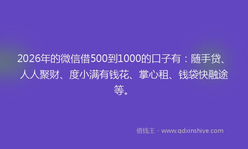 2026年的微信借500到1000的口子有：随手贷、人人聚财、度小满有钱花、掌心租、钱袋快融途等。