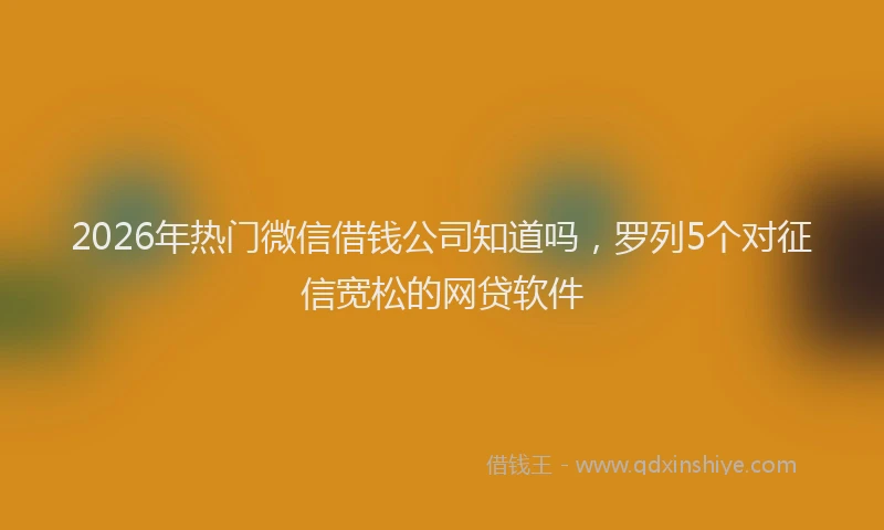 2026年热门微信借钱公司知道吗，罗列5个对征信宽松的网贷软件