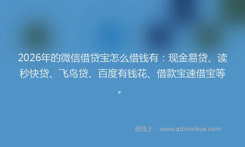 2026年的微信借贷宝怎么借钱有：现金易贷、读秒快贷、飞鸟贷、百度有钱花、借款宝速借宝等。