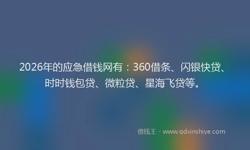 2026年的应急借钱网有：360借条、闪银快贷、时时钱包贷、微粒贷、星海飞贷等。
