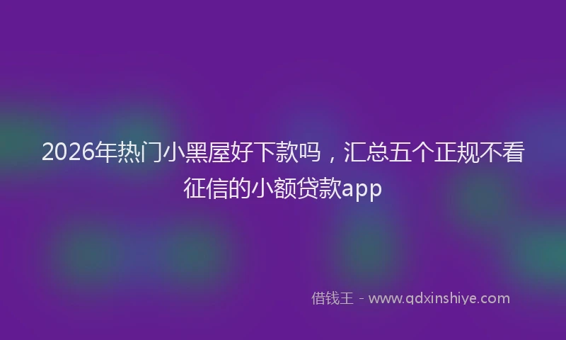 2026年热门小黑屋好下款吗，汇总五个正规不看征信的小额贷款app