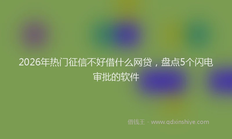 2026年热门征信不好借什么网贷,盘点5个闪电审批的软件