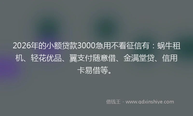 2026年的小额贷款3000急用不看征信有：蜗牛租机、轻花优品、翼支付随意借、金满堂贷、信用卡易借等。