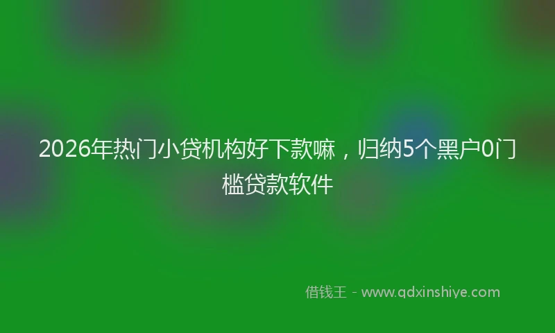 2026年热门小贷机构好下款嘛，归纳5个黑户0门槛贷款软件