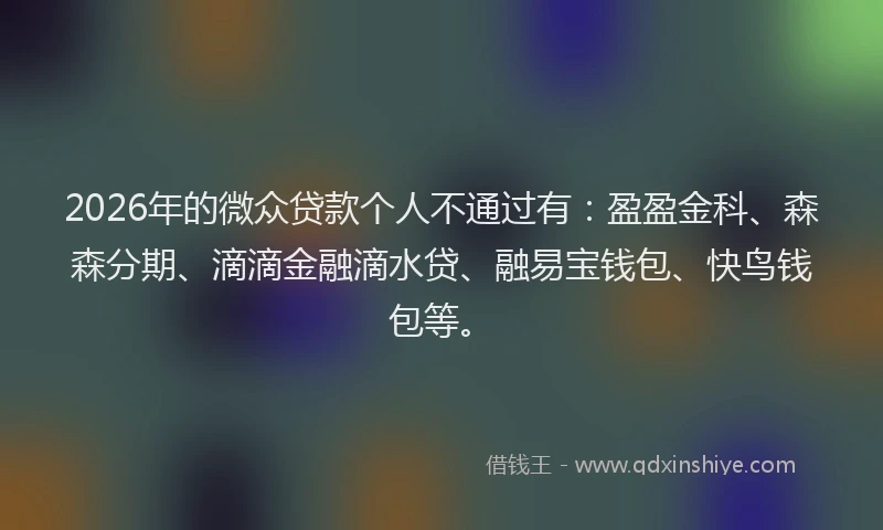 2026年的微众贷款个人不通过有：盈盈金科、森森分期、滴滴金融滴水贷、融易宝钱包、快鸟钱包等。