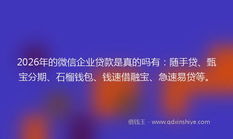 2026年的微信企业贷款是真的吗有：随手贷、甄宝分期、石榴钱包、钱速借融宝、急速易贷等。