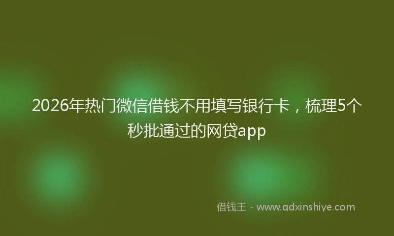 2026年热门微信借钱不用填写银行卡，梳理5个秒批通过的网贷app