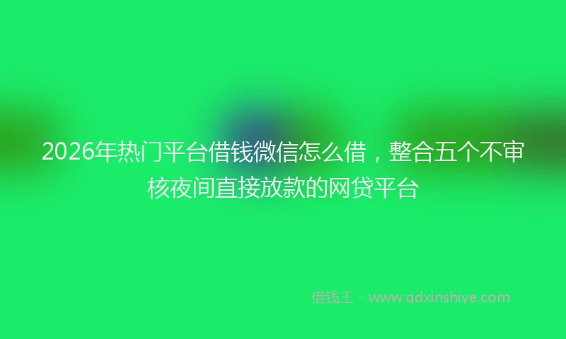 2026年热门平台借钱微信怎么借，整合五个不审核夜间直接放款的网贷平台