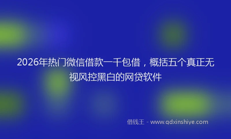 2026年热门微信借款一千包借，概括五个真正无视风控黑白的网贷软件