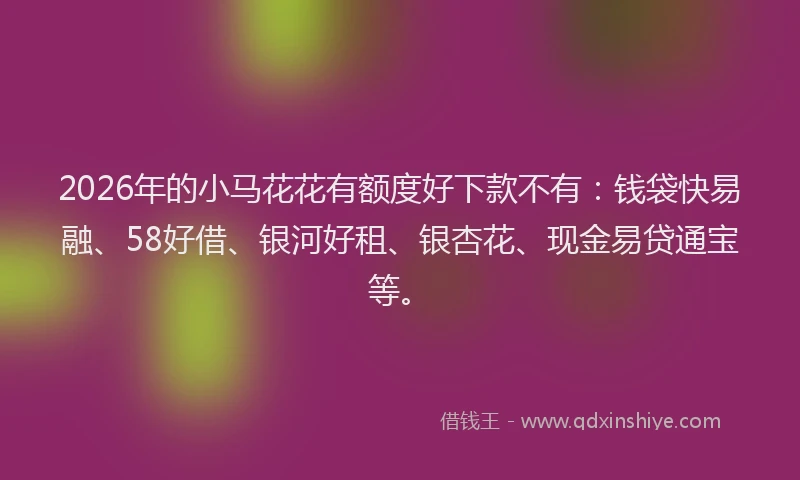 2026年的小马花花有额度好下款不有：钱袋快易融、58好借、银河好租、银杏花、现金易贷通宝等。