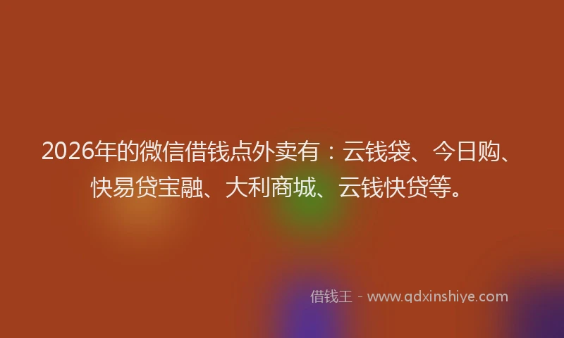 2026年的微信借钱点外卖有:云钱袋、今日购、快易贷宝融、大利商城、云钱快贷等。