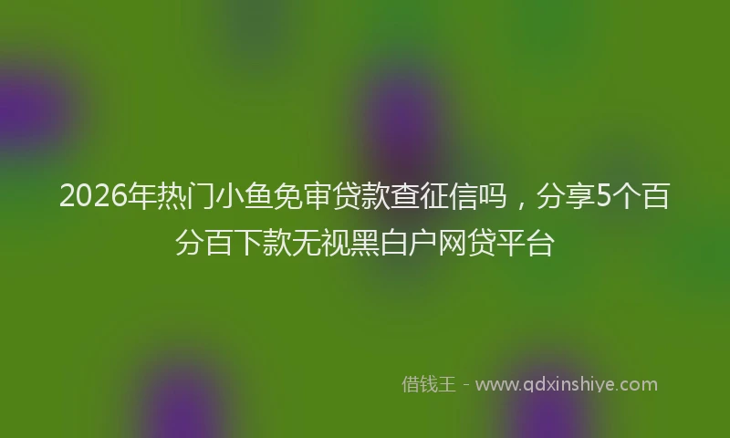 2026年热门小鱼免审贷款查征信吗，分享5个百分百下款无视黑白户网贷平台