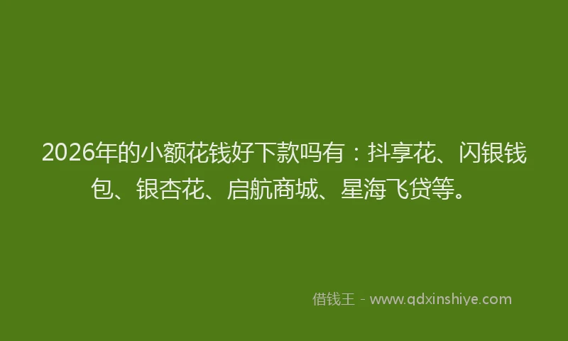2026年的小额花钱好下款吗有：抖享花、闪银钱包、银杏花、启航商城、星海飞贷等。