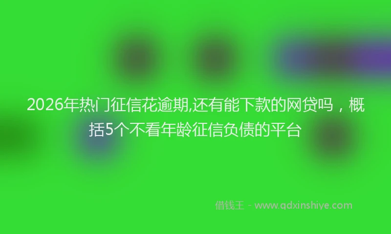 2026年热门征信花逾期,还有能下款的网贷吗,概括5个不看年龄征信负债的平台