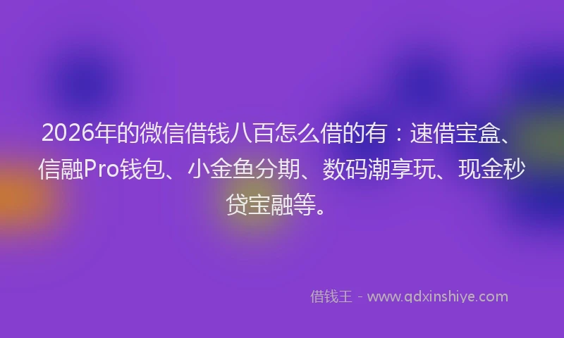 2026年的微信借钱八百怎么借的有：速借宝盒、信融Pro钱包、小金鱼分期、数码潮享玩、现金秒贷宝融等。