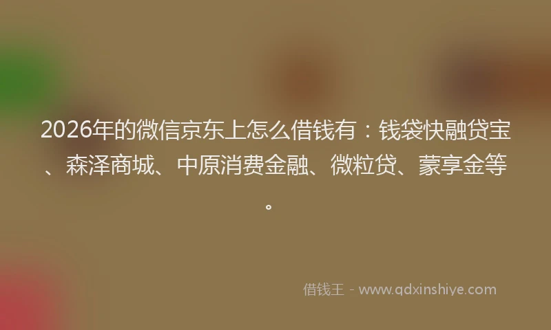 2026年的微信京东上怎么借钱有：钱袋快融贷宝、森泽商城、中原消费金融、微粒贷、蒙享金等。
