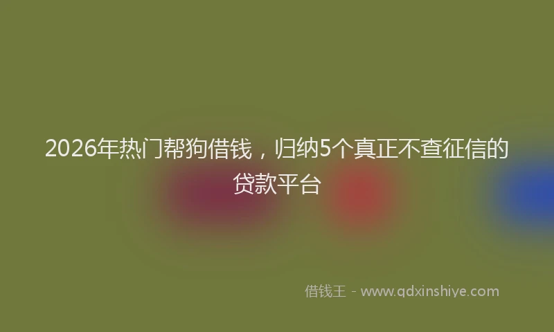 2026年热门帮狗借钱，归纳5个真正不查征信的贷款平台