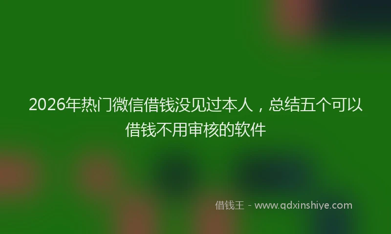 2026年热门微信借钱没见过本人，总结五个可以借钱不用审核的软件