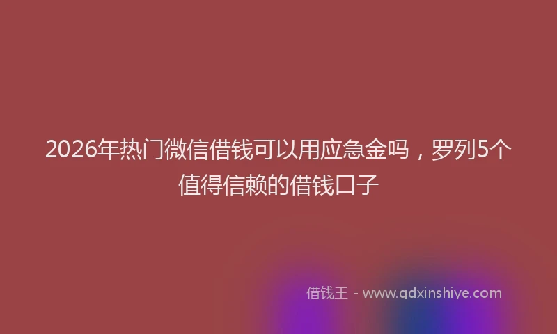 2026年热门微信借钱可以用应急金吗，罗列5个值得信赖的借钱口子