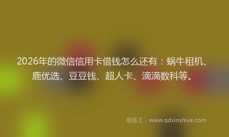 2026年的微信信用卡借钱怎么还有：蜗牛租机、鹿优选、豆豆钱、超人卡、滴滴数科等。