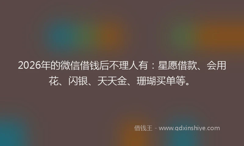 2026年的微信借钱后不理人有：星愿借款、会用花、闪银、天天金、珊瑚买单等。