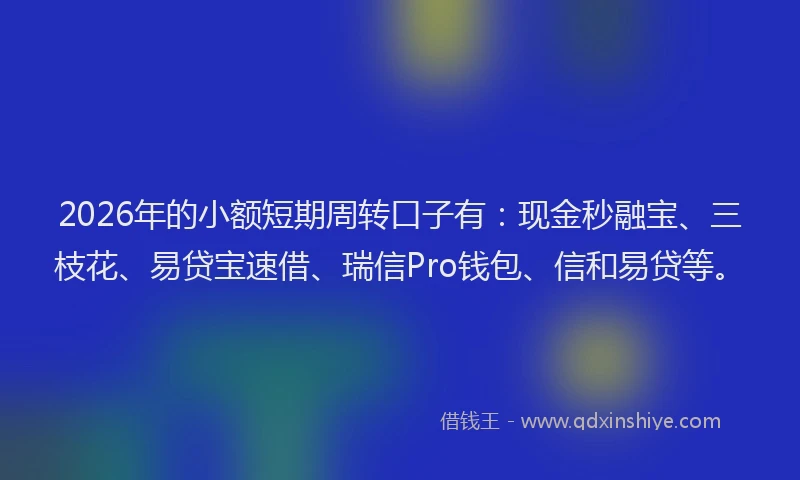 2026年的小额短期周转口子有：现金秒融宝、三枝花、易贷宝速借、瑞信Pro钱包、信和易贷等。