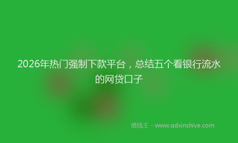 2026年热门强制下款平台，总结五个看银行流水的网贷口子