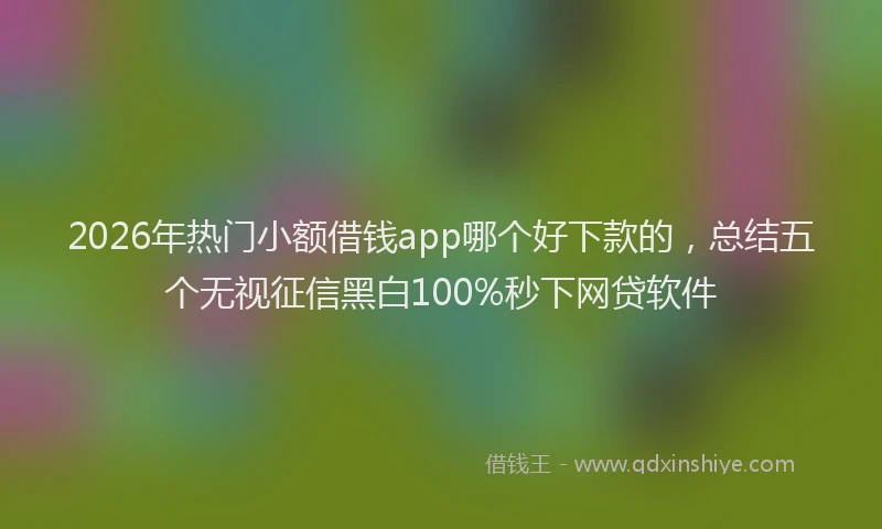 2026年热门小额借钱app哪个好下款的，总结五个无视征信黑白100%秒下网贷软件