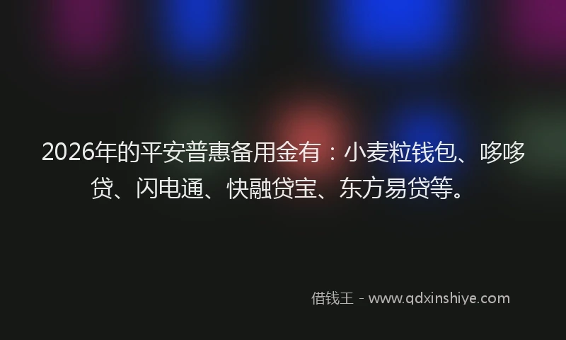 2026年的平安普惠备用金有：小麦粒钱包、哆哆贷、闪电通、快融贷宝、东方易贷等。