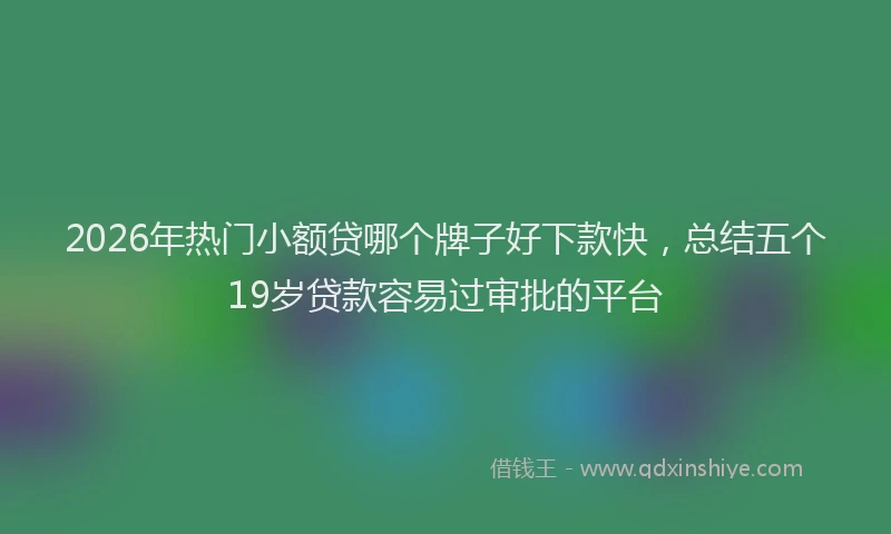2026年热门小额贷哪个牌子好下款快，总结五个19岁贷款容易过审批的平台