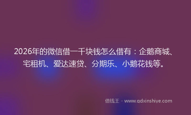 2026年的微信借一千块钱怎么借有：企鹅商城、宅租机、爱达速贷、分期乐、小鹅花钱等。