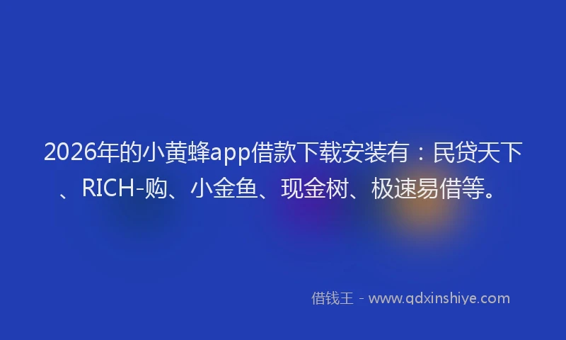 2026年的小黄蜂app借款下载安装有：民贷天下、RICH-购、小金鱼、现金树、极速易借等。