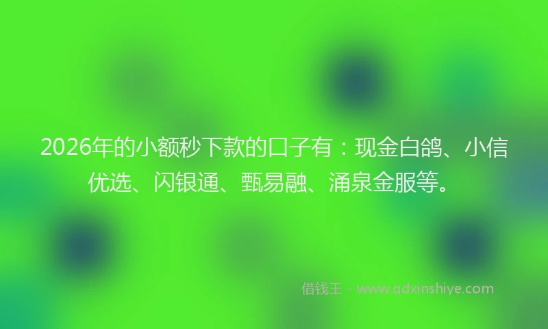 2026年的小额秒下款的口子有:现金白鸽、小信优选、闪银通、甄易融、涌泉金服等。