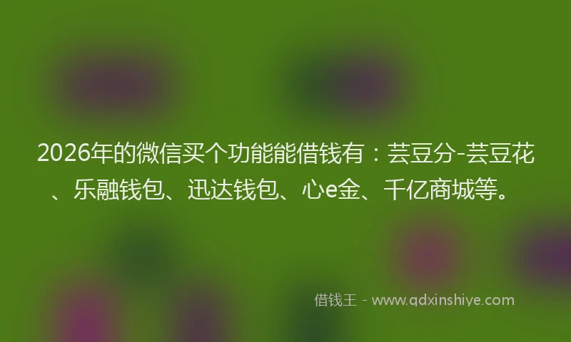 2026年的微信买个功能能借钱有：芸豆分-芸豆花、乐融钱包、迅达钱包、心e金、千亿商城等。