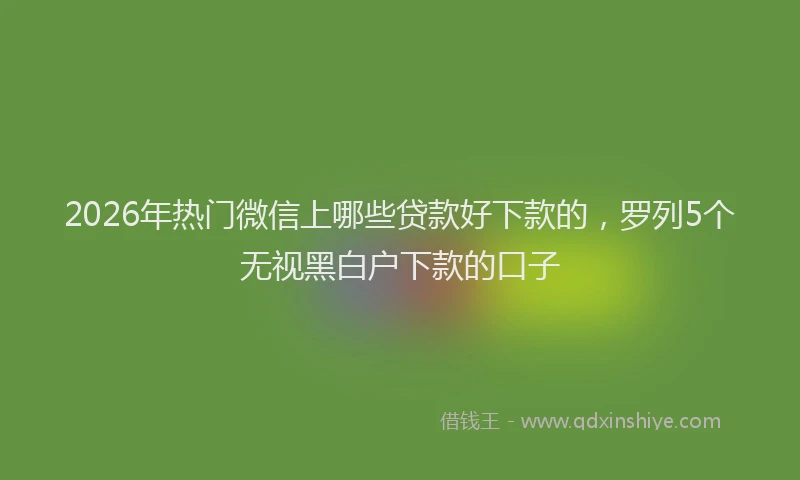 2026年热门微信上哪些贷款好下款的，罗列5个无视黑白户下款的口子