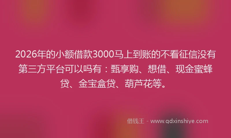 2026年的小额借款3000马上到账的不看征信没有第三方平台可以吗有:甄享购、想借、现金蜜蜂贷、金宝盒贷、葫芦花等。