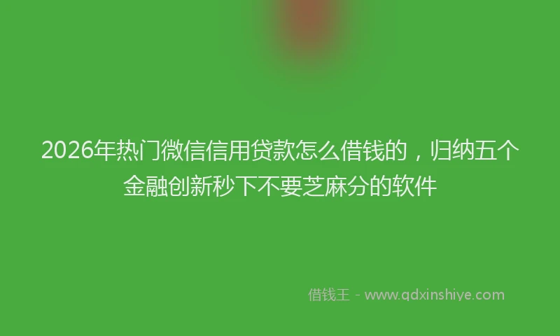 2026年热门微信信用贷款怎么借钱的，归纳五个金融创新秒下不要芝麻分的软件