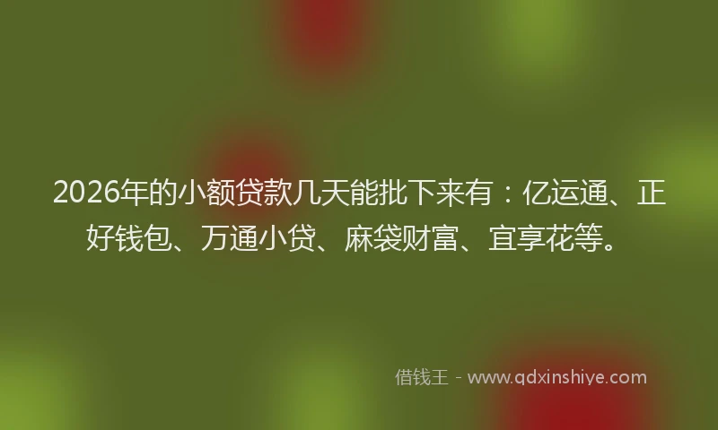 2026年的小额贷款几天能批下来有：亿运通、正好钱包、万通小贷、麻袋财富、宜享花等。