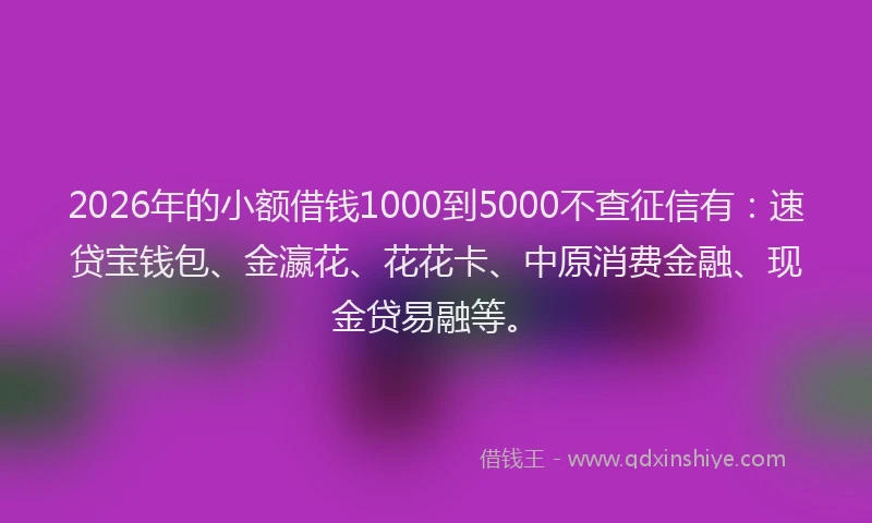 2026年的小额借钱1000到5000不查征信有：速贷宝钱包、金瀛花、花花卡、中原消费金融、现金贷易融等。