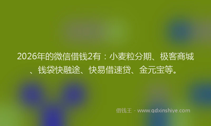 2026年的微信借钱2有：小麦粒分期、极客商城、钱袋快融途、快易借速贷、金元宝等。