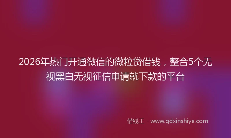 2026年热门开通微信的微粒贷借钱，整合5个无视黑白无视征信申请就下款的平台