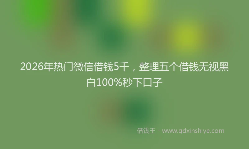 2026年热门微信借钱5千,整理五个借钱无视黑白100%秒下口子
